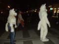 IMGP3075.JPG